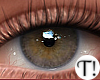 T! Beauty Eyes 15