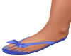 Flip Flops/ Blue