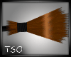 TSO~ Animated Broom