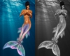 Mermaid Portraits 1 & 2
