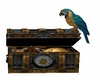 C*Pirate treasure parrot