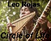 Leo R Circle of Life