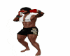 ! Boxing Avi Animated.