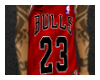 Red Bulls Jersey