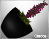 Black pott plant C