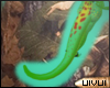 [Ui] DayGecko Tail| V2