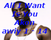 All I Want Is You-Akon