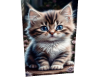 H, My baby Cat