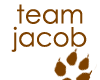 Twilight-Team Jacob