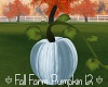 Fall Farm Pumpkin 12