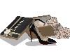 Chanel Shoe Box