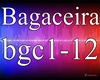 Bagaceira-Dan L. e Lucas