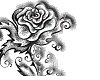 [DS]Rose15