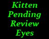 [kitten] Red Eye