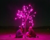 *TK* Pink Tree Pic