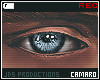 ⚓ Camaro's  2Tone Eyes