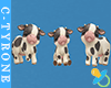 Baby Cows