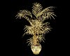 Golden Willow Leaf Plant
