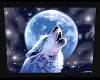 WOLF HOWS IN THE SNOW