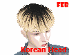 * Korean Head