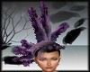 AO~Purple Head feathers