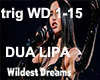 Wildest Dreams