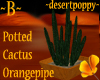 ~B~ OrangePipe Cactus