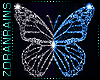 !Z! BlueWhite Butterfly