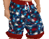 boys 4th july swim trunk