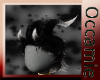 Conquest  Black Horns