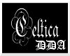 The Celtica Club Sign
