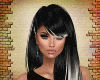 RL Black Bundles