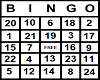 Bingo Card 7