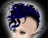 !AT!Blue/Blk Curly Hawk