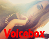 vb) Hood Ghetto VoiceBox