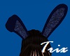 Dk Blue Bunny Ears
