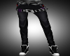 |Zir| Nightroad pants