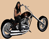 Cool Harley Bike