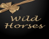 Wild Horses song