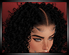 LS~Orietta Curly /Rhines