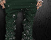 Green Stretched Pants ©