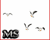 *Ms*Seagulls Animated