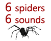 Spiders with sounds M/F