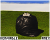 ♚ Money Bag