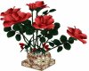 red roses with vase