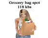 grocery bag spot 