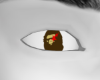 Apesta