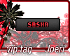 j| Sasha Loves Jake