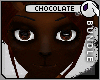 ~DC) Chocolate Wafer