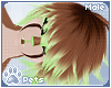 [Pets] Kira | hair v5